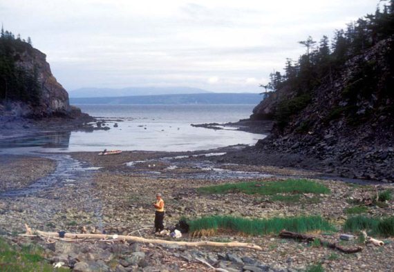 Иллюстрация к книге — Мохнатый бог [i_160.jpg]