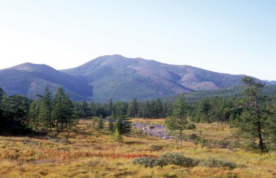 Иллюстрация к книге — Мохнатый бог [i_166.jpg]