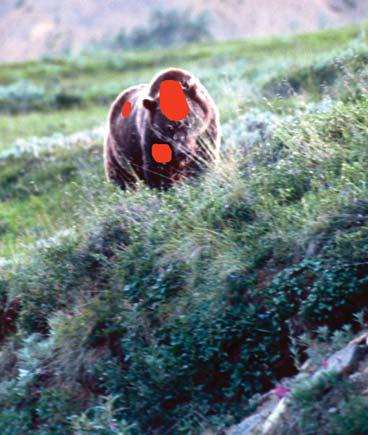 Иллюстрация к книге — Мохнатый бог [i_173.jpg]