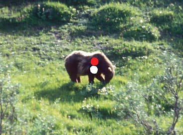 Иллюстрация к книге — Мохнатый бог [i_178.jpg]