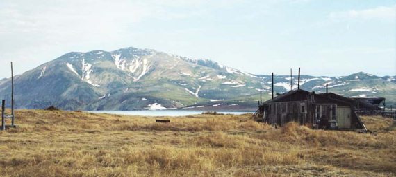 Иллюстрация к книге — Мохнатый бог [i_195.jpg]