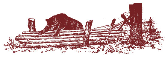 Иллюстрация к книге — Мохнатый бог [i_208.jpg]