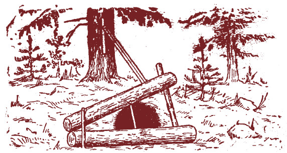 Иллюстрация к книге — Мохнатый бог [i_209.jpg]