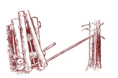 Иллюстрация к книге — Мохнатый бог [i_210.jpg]