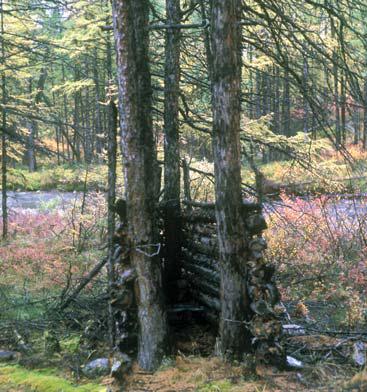 Иллюстрация к книге — Мохнатый бог [i_211.jpg]