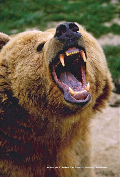 Иллюстрация к книге — Мохнатый бог [i_215.jpg]