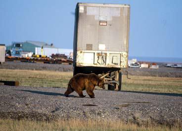 Иллюстрация к книге — Мохнатый бог [i_232.jpg]