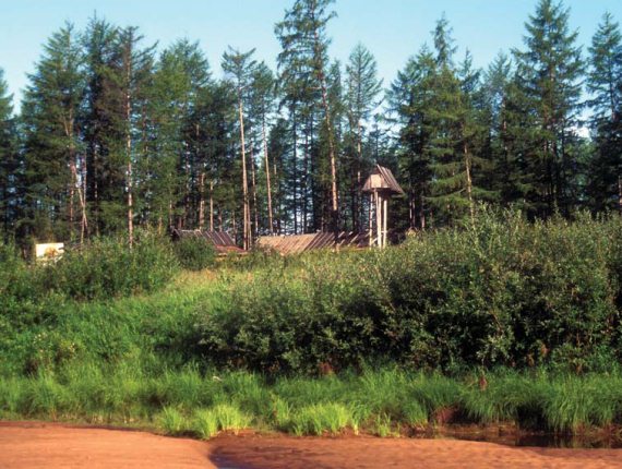 Иллюстрация к книге — Мохнатый бог [i_260.jpg]