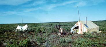 Иллюстрация к книге — Мохнатый бог [i_262.jpg]