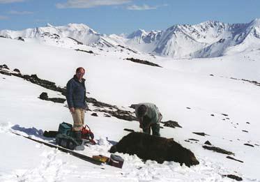 Иллюстрация к книге — Мохнатый бог [i_264.jpg]