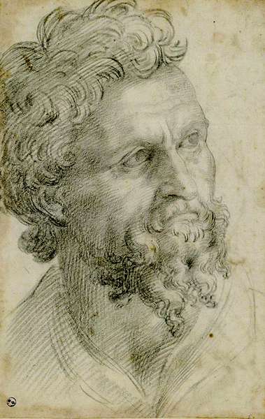 Иллюстрация к книге — Бенвенуто [i_014.jpg]