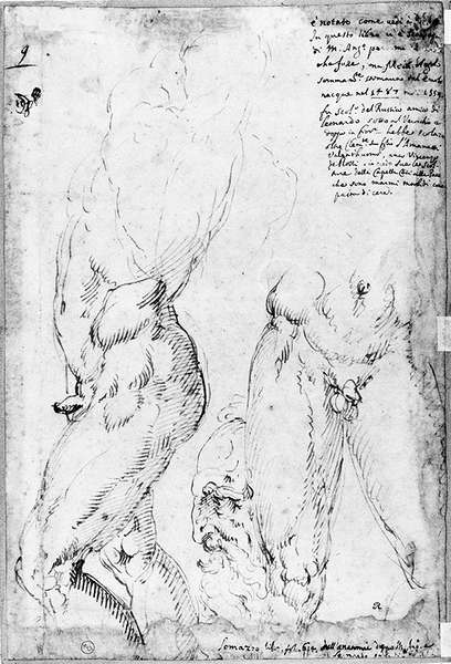 Иллюстрация к книге — Бенвенуто [i_015.jpg]