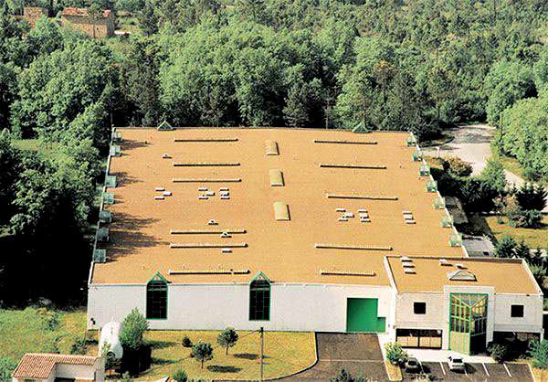 Иллюстрация к книге — Бенвенуто [i_025.jpg]