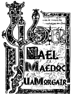 Иллюстрация к книге — Ночная охота [_335.png]