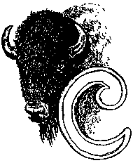 Иллюстрация к книге — Тропа. История Безумного Медведя [pic17.png]