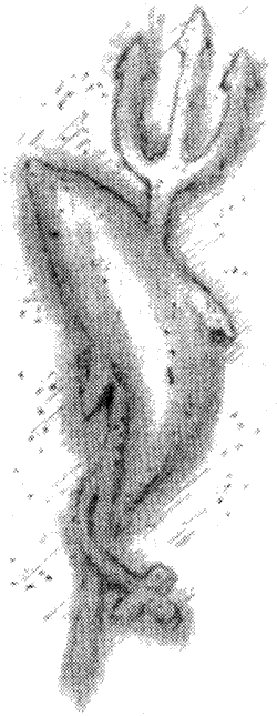 Иллюстрация к книге — Святая кровь [i_006.png]