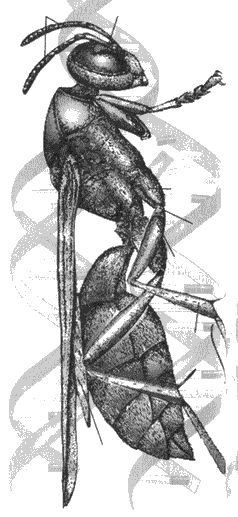 Иллюстрация к книге — Инстинкт [i_001.png]