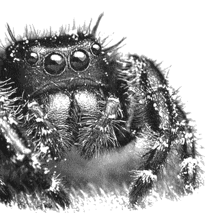 Иллюстрация к книге — Инстинкт [i_006.png]