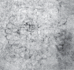 Иллюстрация к книге — Псевдоним(б). В поисках Шекспира [pic_17.png]