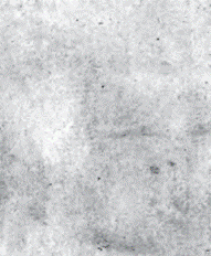 Иллюстрация к книге — Псевдоним(б). В поисках Шекспира [pic_19.png]