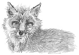 Иллюстрация к книге — Камень во плоти [i_003.jpg]