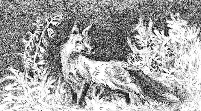 Иллюстрация к книге — Камень во плоти [i_012.jpg]