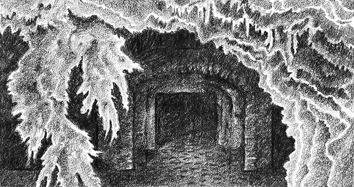 Иллюстрация к книге — Камень во плоти [i_038.jpg]