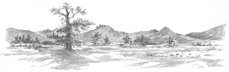 Иллюстрация к книге — Камень во плоти [i_057.jpg]