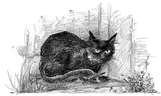 Иллюстрация к книге — Живые тени [i_006.jpg]