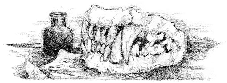 Иллюстрация к книге — Живые тени [i_009.jpg]