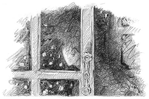 Иллюстрация к книге — Живые тени [i_012.jpg]