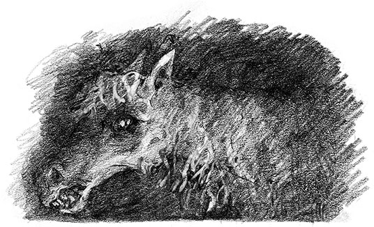 Иллюстрация к книге — Живые тени [i_038.jpg]