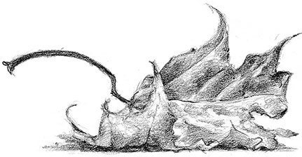 Иллюстрация к книге — Живые тени [i_068.jpg]