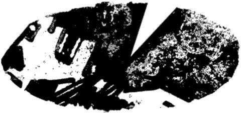 Иллюстрация к книге — Князь механический [ch_28.png]