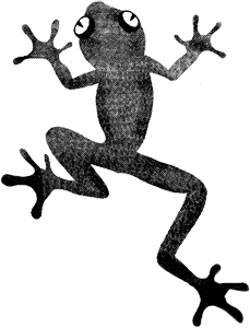 Иллюстрация к книге — Грегор и проклятие теплокровных [i_002.png]