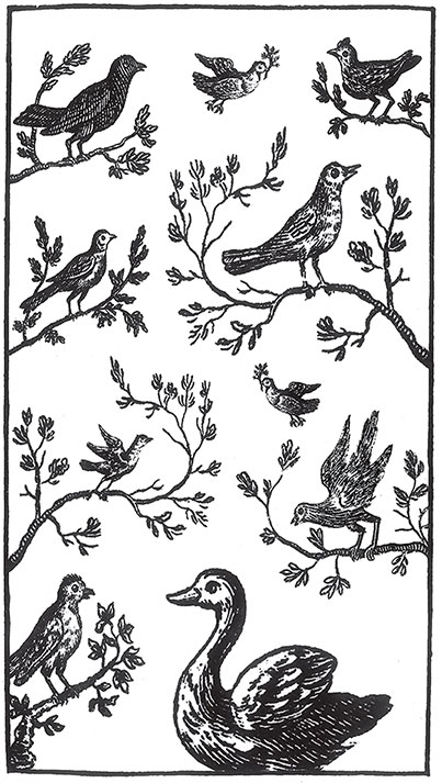 Иллюстрация к книге — Пир Джона Сатурналла [i_003.jpg]