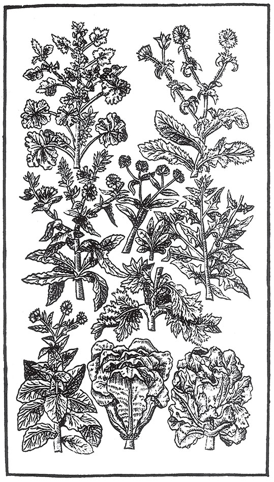 Иллюстрация к книге — Пир Джона Сатурналла [i_006.jpg]