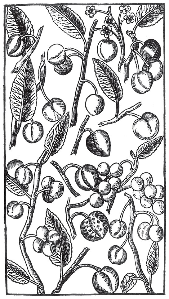 Иллюстрация к книге — Пир Джона Сатурналла [i_012.jpg]