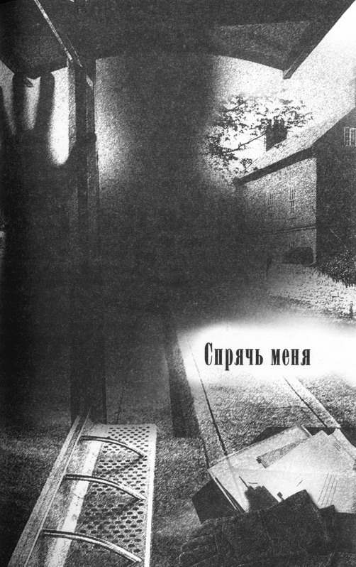 Иллюстрация к книге — Спрячь меня [pic01.jpg]