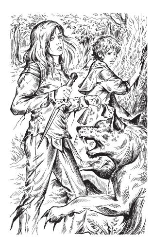 Иллюстрация к книге — Иллюзия выбора. Шаг [i_001.jpg]