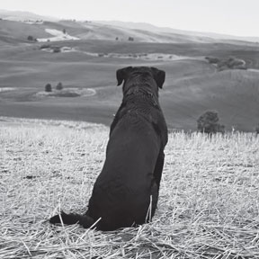 Иллюстрация к книге — Жена-22 [Autogen_eBook_id2.jpg]