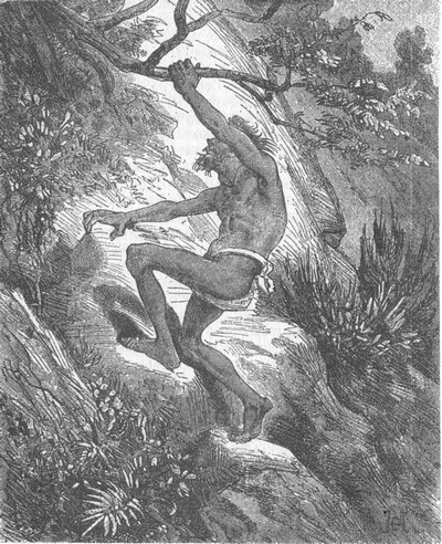 Иллюстрация к книге — В дебрях Индии [i_016.jpg]