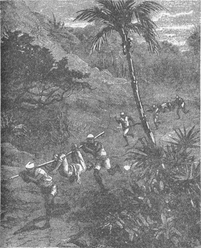 Иллюстрация к книге — В дебрях Индии [i_018.jpg]