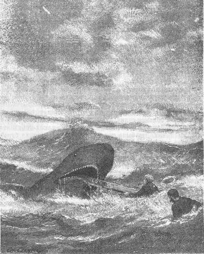 Иллюстрация к книге — Затерянные в океане [i_019.jpg]