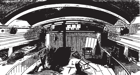 Иллюстрация к книге — Банды Нью-Йорка [_15.png]