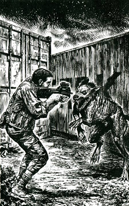 Иллюстрация к книге — Странник [i_002.jpg]