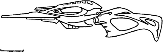 Иллюстрация к книге — Кей Дач [i_020.jpg]