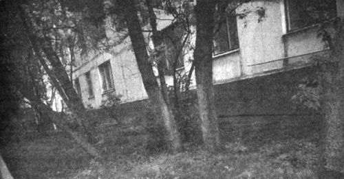 Иллюстрация к книге — Детство Левы [i_019.jpg]