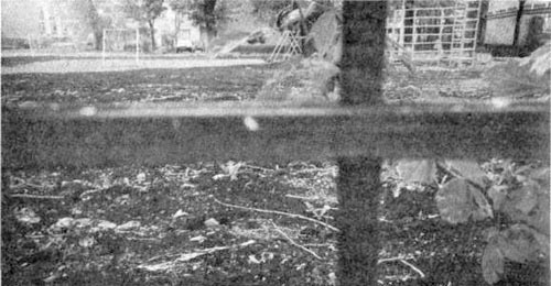 Иллюстрация к книге — Детство Левы [i_021.jpg]