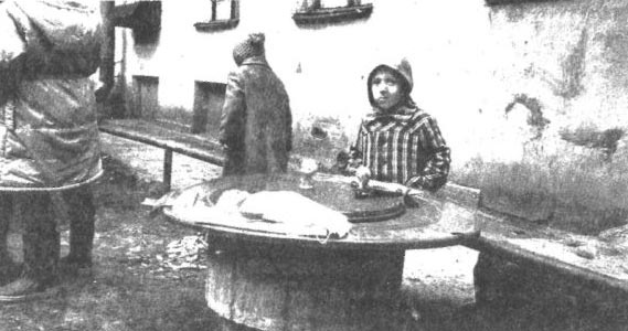 Иллюстрация к книге — Детство Левы [i_022.jpg]